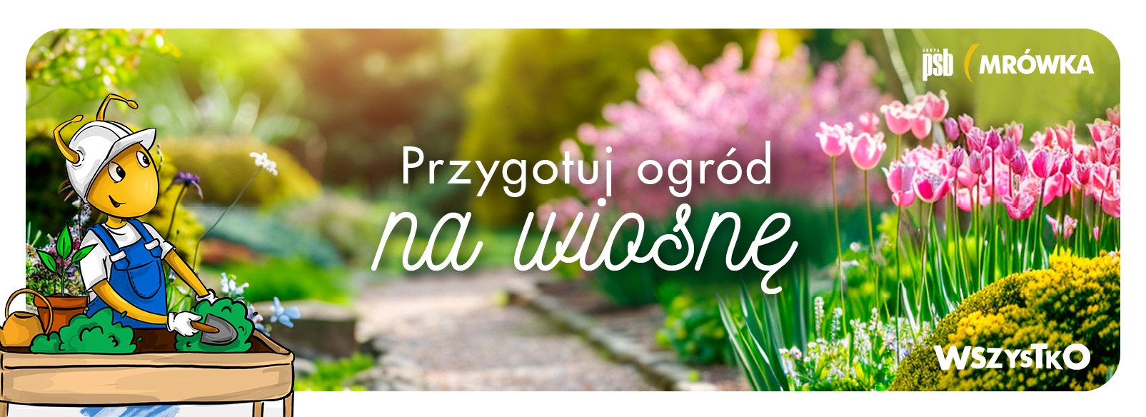 Grupa PSB mrowka PSB Mrówka Grodzisk Mazowiecki