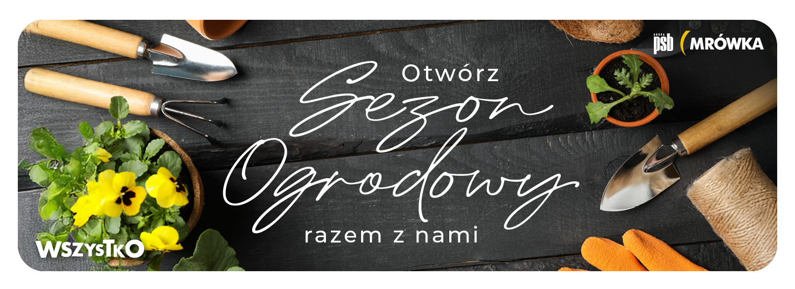 Grupa PSB mrowka PSB Mrówka Grodzisk Mazowiecki