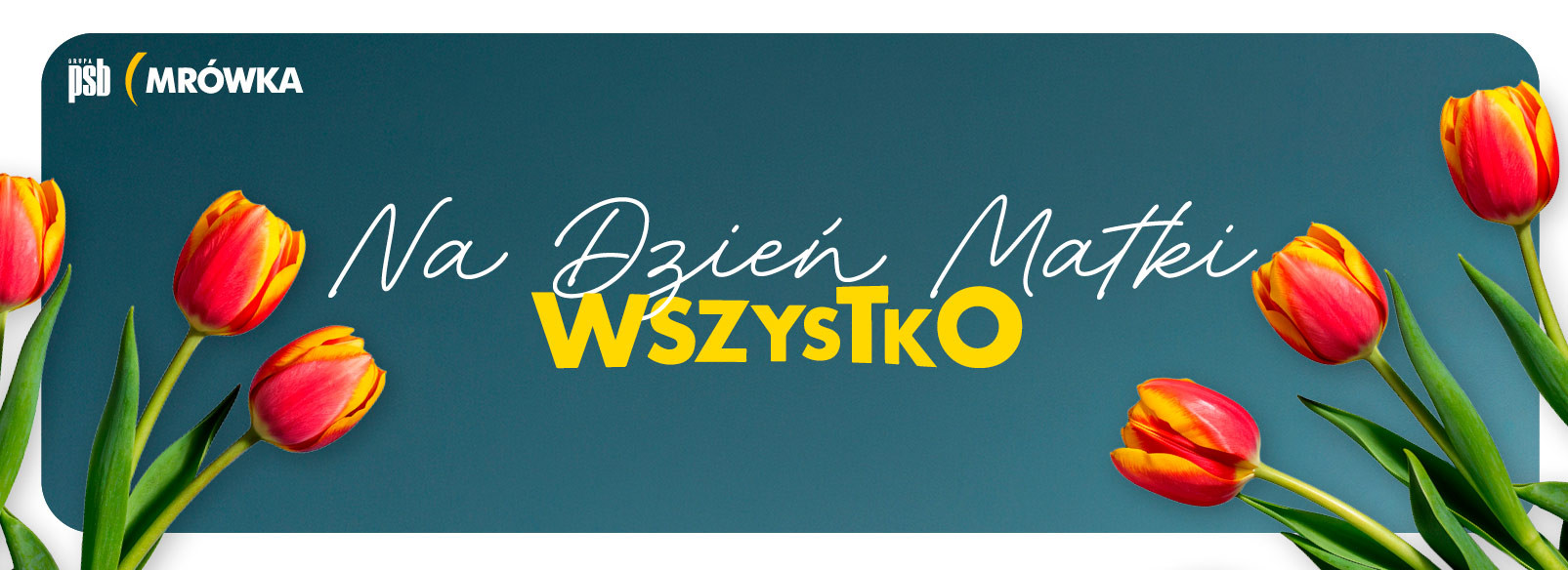 Grupa PSB mrowka PSB Mrówka Grodzisk Mazowiecki